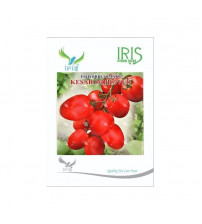 Tomato Iris F1 Kesar Improved 10 grams